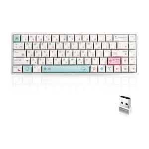 Weather Theme XDA 68 RGB Tri-Mode Mechanical Gaming Keyboard